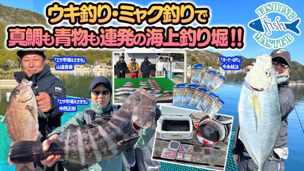 ウキ釣り・ミャク釣りで真鯛も青物も連発の海上釣り堀‼︎